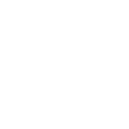 Silicate Labs mark, reversed